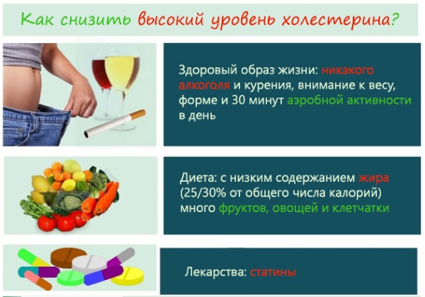 Гиперхолестеринемия. Причины и последствия, что это такое, лечение у взрослых