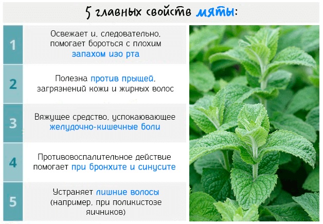 Боль во лбу над переносицей, в глазах, при наклоне. Причины