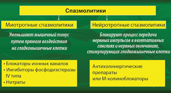 Спазмолитики при головной боли при повышенном давлении. Список