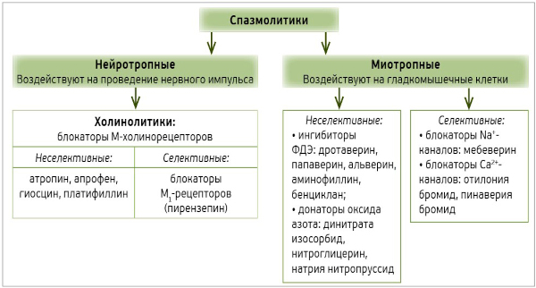 Спазмолитики от головной боли при шейном остеохондрозе