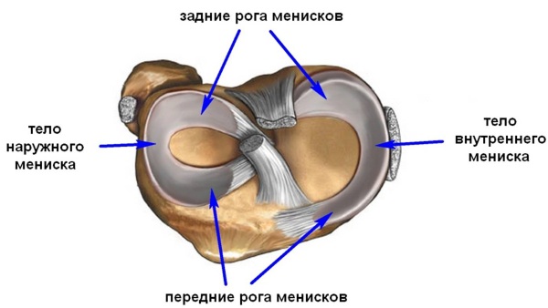 Связки коленного сустава: анатомия, строение, травмы и лечение, как укрепить
