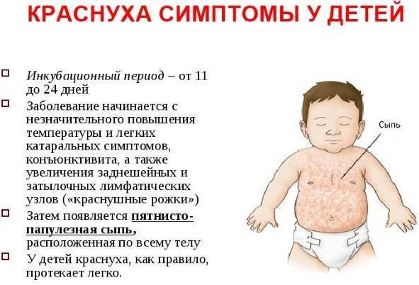 Сыпь при краснухе. Фото, диф. диагноз, диагностика