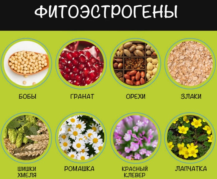 Почему у женщин маленькая грудь. Причины